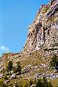 Parco Naturale Fanes-Senes-Braies. Escursione al Rifugio Fanes. Prima di arrivare al rifugio Ucia di Gran Fanes, nell'Alta valle di Fanes. 